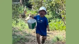 Керей против гусиной банды