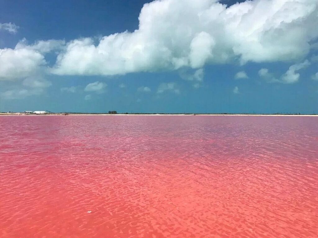 Розовое озеро Кобейтуз: природная жемчужина Казахстана
