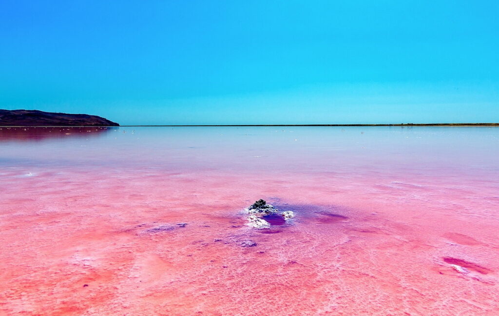 Розовое озеро Кобейтуз: природная жемчужина Казахстана