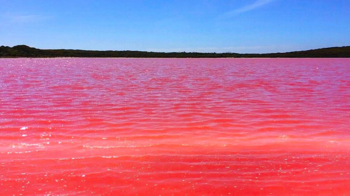 Розовое озеро Кобейтуз: природная жемчужина Казахстана
