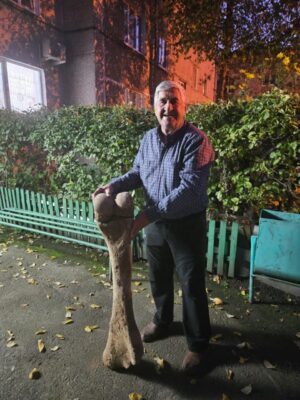 Кость мамонта найдена на берегах Есиля