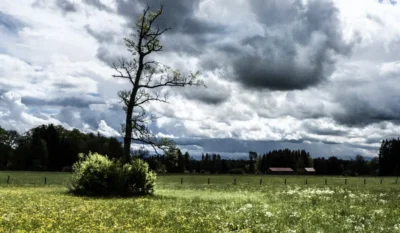 Высокая облачность в деревне