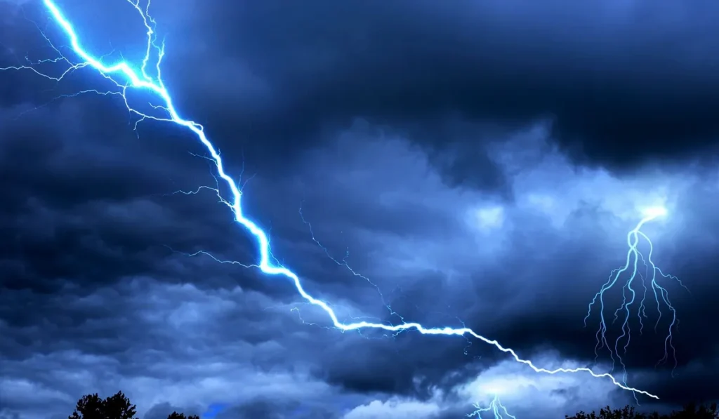 Шторм, гроза и молнии над деревьями