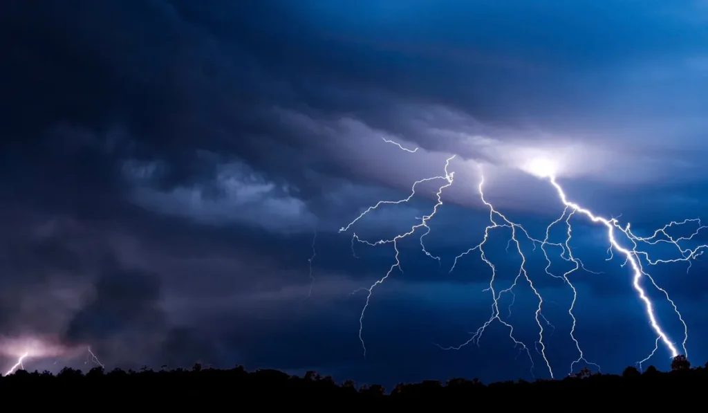 Шторм, гроза и молнии над деревьями