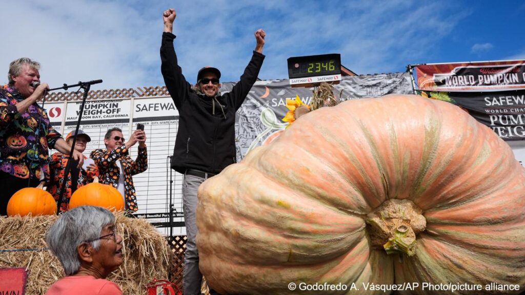 Инженер из Калифорнии выиграл чемпионат по взвешиванию тыкв