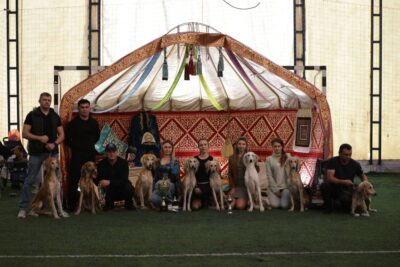 Монопородная выставка "Kazakh tazy" в Алматы