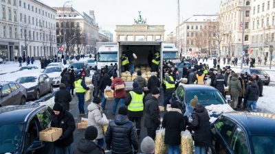 В Берлине бесплатно раздают 4 миллиона кг картофеля