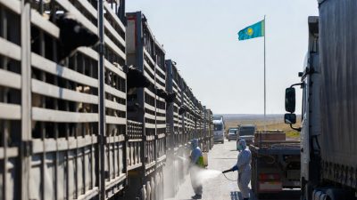 Минсельхоз РК закрыл границу для скота из России